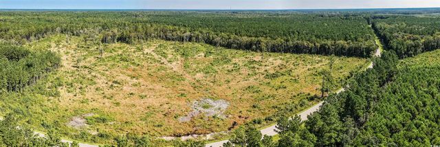 tbd Pitch Landing Rd., Conway, SC 29527