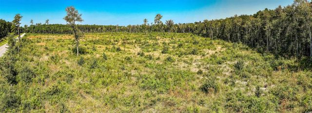 tbd Pitch Landing Rd., Conway, SC 29527