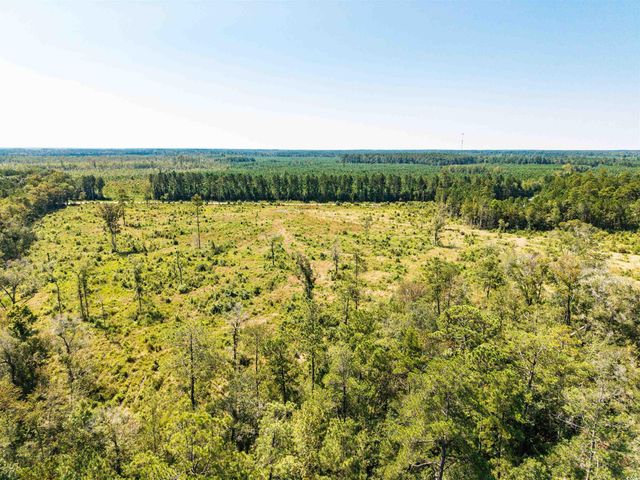 tbd Pitch Landing Rd., Conway, SC 29527