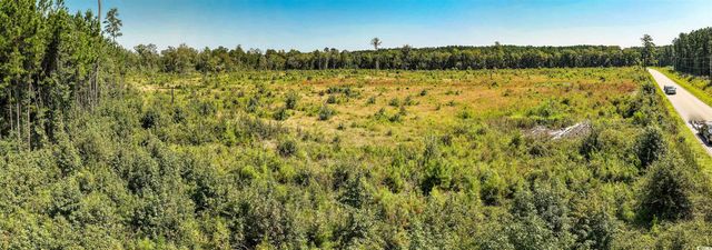 tbd Pitch Landing Rd., Conway, SC 29527
