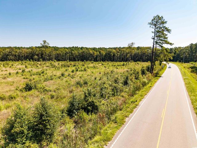 tbd Pitch Landing Rd., Conway, SC 29527