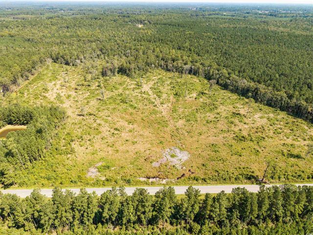 tbd Pitch Landing Rd., Conway, SC 29527