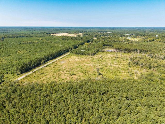 tbd Pitch Landing Rd., Conway, SC 29527