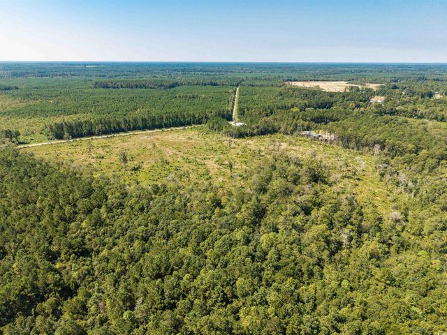 tbd Pitch Landing Rd., Conway, SC 29527