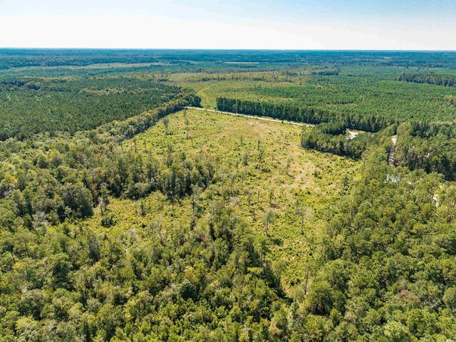 tbd Pitch Landing Rd., Conway, SC 29527