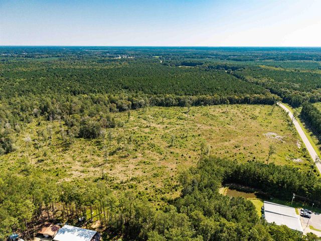 tbd Pitch Landing Rd., Conway, SC 29527