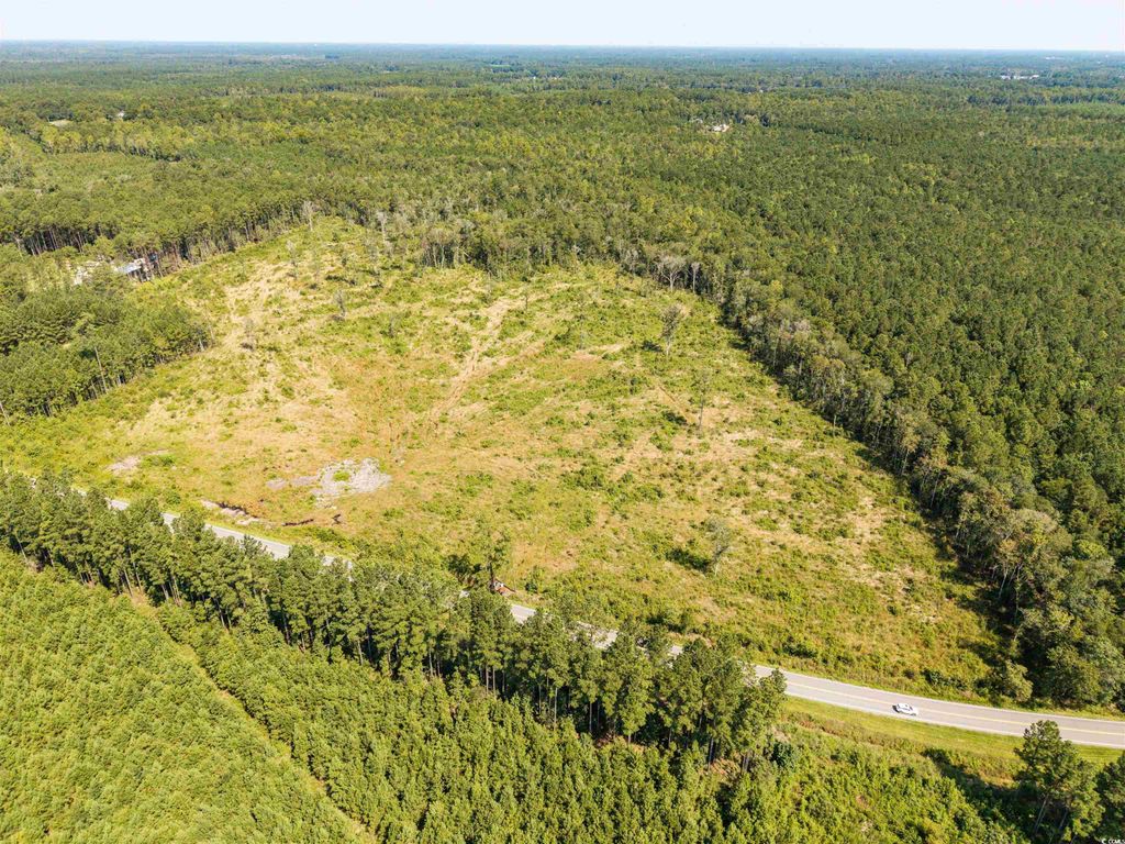 tbd Pitch Landing Rd., Conway, SC 29527