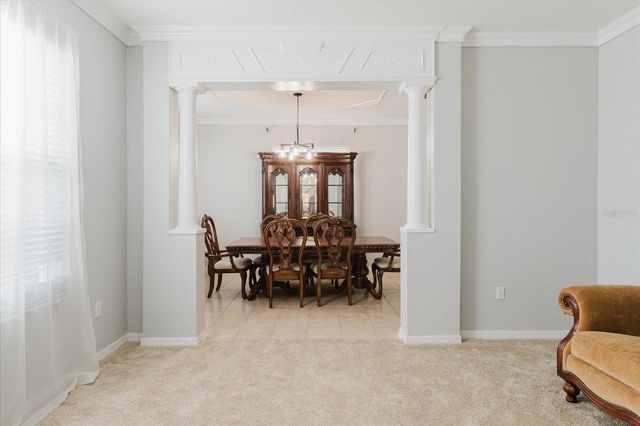 2717 AVON RIVER DRIVE, Valrico, FL 33596