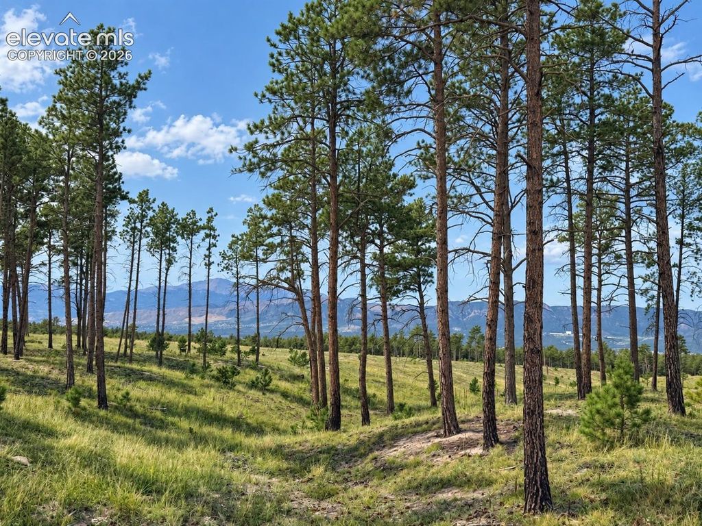 13622 Sterling Spires Heights, Colorado Springs, CO 80908 — photo 2
