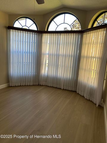 11430 Kingstree Court, Spring Hill, FL 34609