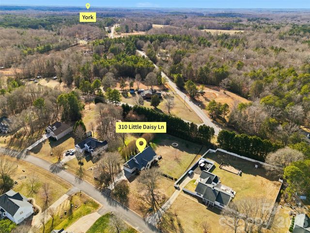 310 Little Daisy Lane, York, SC 29745