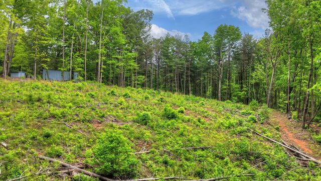 5.043 Ac W Hwy 382, Ellijay, GA 30540