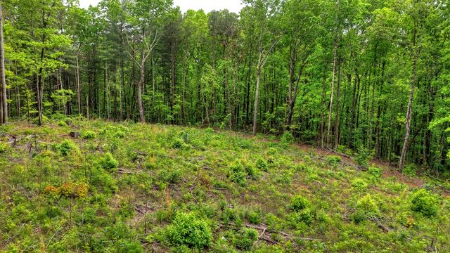 5.043 Ac W Hwy 382, Ellijay, GA 30540