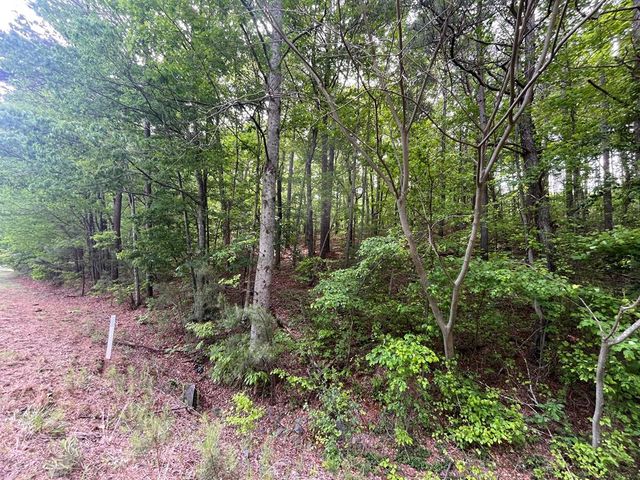 5.043 Ac W Hwy 382, Ellijay, GA 30540