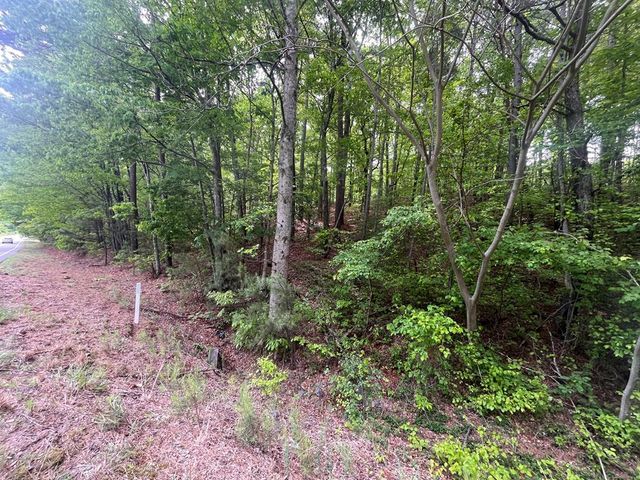 5.043 Ac W Hwy 382, Ellijay, GA 30540