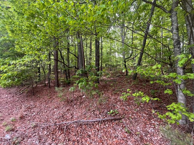 5.043 Ac W Hwy 382, Ellijay, GA 30540