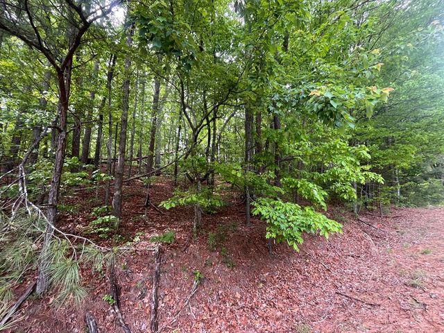 5.043 Ac W Hwy 382, Ellijay, GA 30540