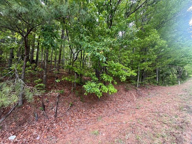 5.043 Ac W Hwy 382, Ellijay, GA 30540