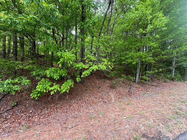 5.043 Ac W Hwy 382, Ellijay, GA 30540