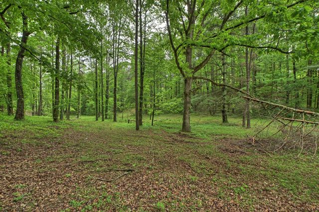 5.043 Ac W Hwy 382, Ellijay, GA 30540