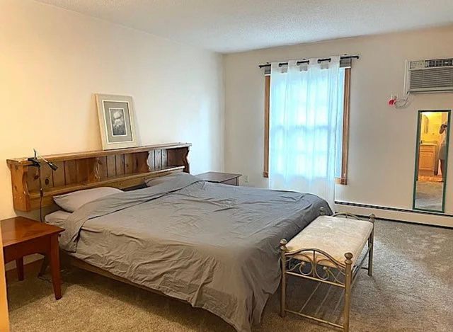 4560 Cedar Lake Road S 3, Saint Louis Park, MN 55416