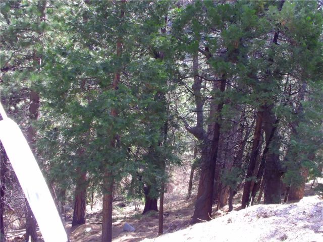 2379 Spring Oak, Running Springs, CA 92382