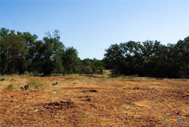 0000 Old Ferry Road, Spicewood, TX 78669