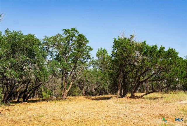 0000 Old Ferry Road, Spicewood, TX 78669