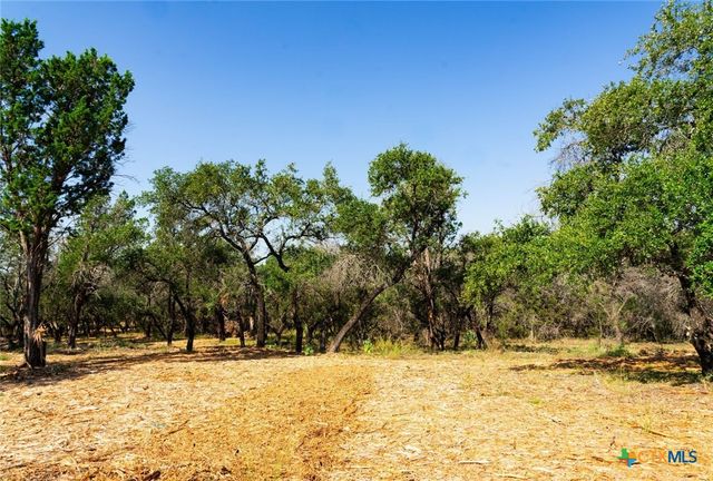 0000 Old Ferry Road, Spicewood, TX 78669