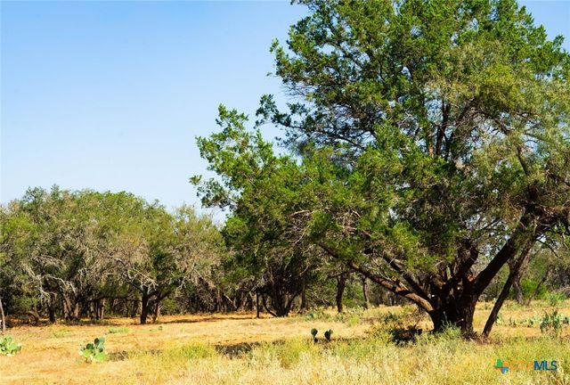 0000 Old Ferry Road, Spicewood, TX 78669