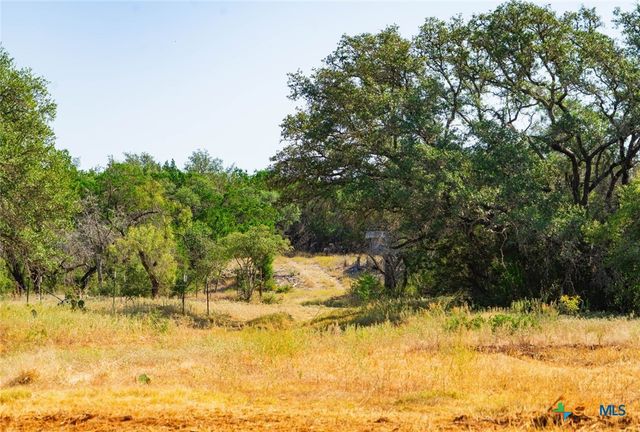 0000 Old Ferry Road, Spicewood, TX 78669