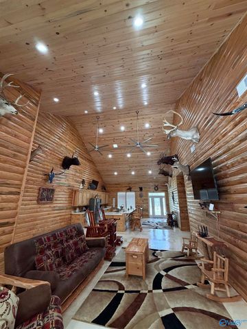 3899 Hidden Cove Drive, Cedar Bluff, AL 35959