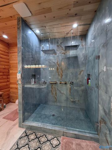 3899 Hidden Cove Drive, Cedar Bluff, AL 35959