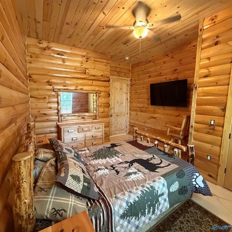 3899 Hidden Cove Drive, Cedar Bluff, AL 35959