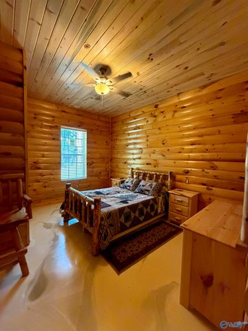 3899 Hidden Cove Drive, Cedar Bluff, AL 35959