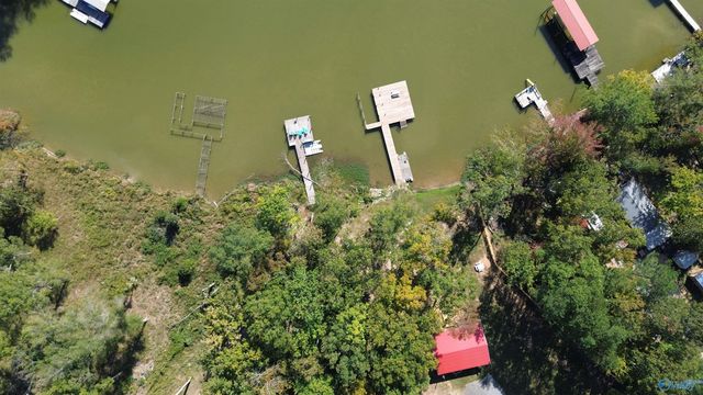 3899 Hidden Cove Drive, Cedar Bluff, AL 35959