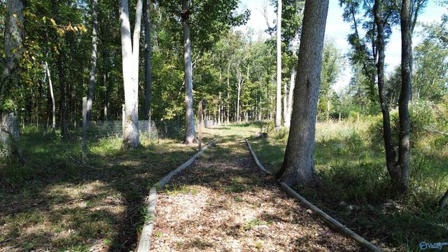 3899 Hidden Cove Drive, Cedar Bluff, AL 35959