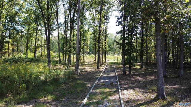 3899 Hidden Cove Drive, Cedar Bluff, AL 35959