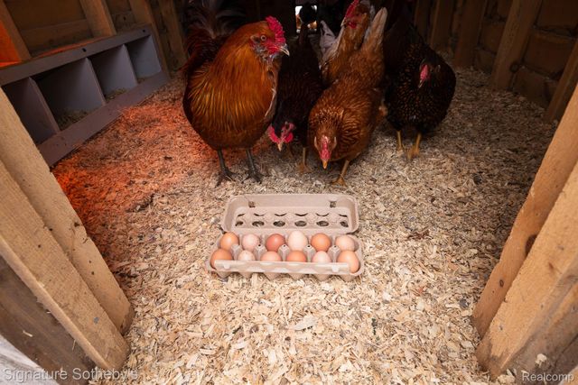 5154 E Highland Road, Howell, MI 48843