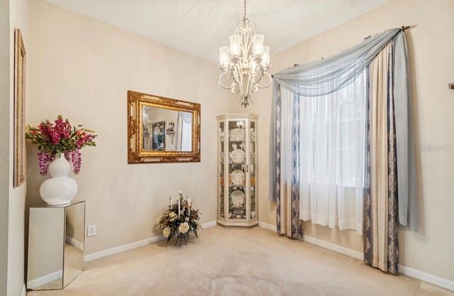 1346 BROOKE VIEW DRIVE, Odessa, FL 33556