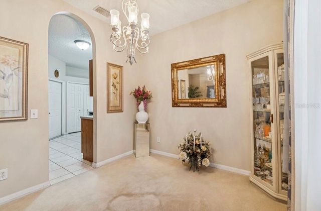 1346 BROOKE VIEW DRIVE, Odessa, FL 33556