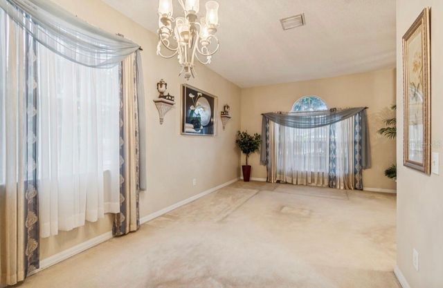 1346 BROOKE VIEW DRIVE, Odessa, FL 33556