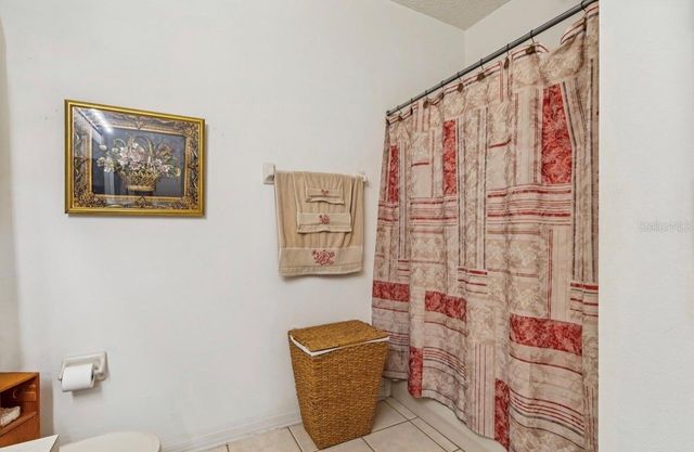 1346 BROOKE VIEW DRIVE, Odessa, FL 33556