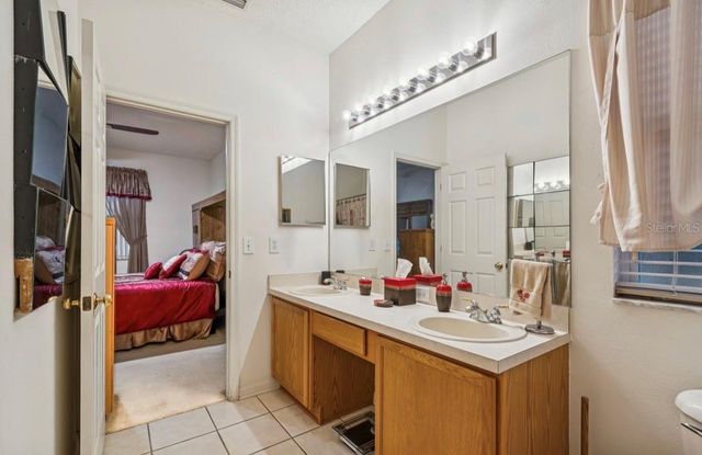 1346 BROOKE VIEW DRIVE, Odessa, FL 33556