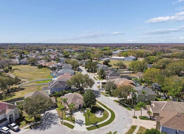 1346 BROOKE VIEW DRIVE, Odessa, FL 33556