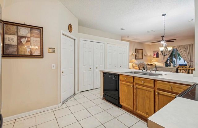 1346 BROOKE VIEW DRIVE, Odessa, FL 33556