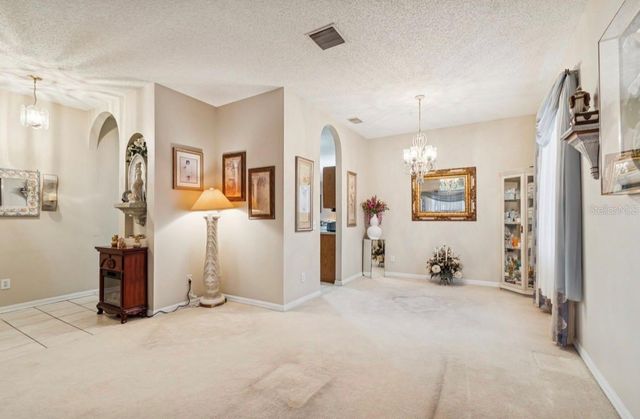 1346 BROOKE VIEW DRIVE, Odessa, FL 33556