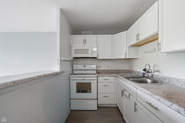 1401 E 55th Street 307N, Chicago, IL 60615