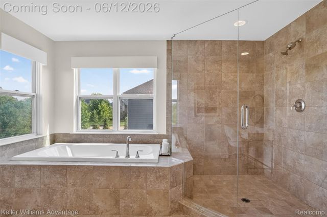 24576 Turnburry Court, Lyon Charter Township, MI 48178