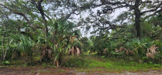 7096 E CHANNEL DRIVE, Hernando, FL 34442